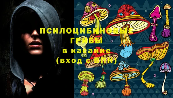 мескалин Губаха