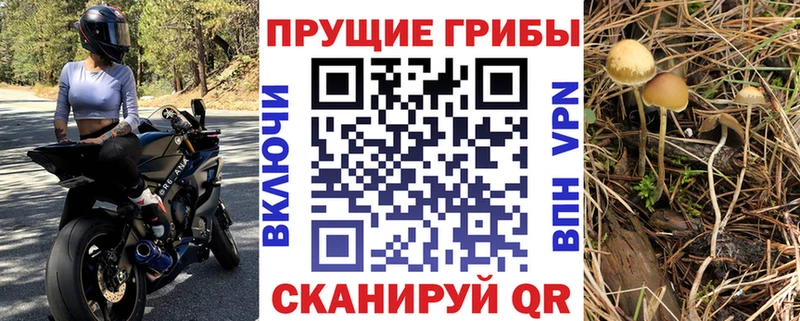 Галлюциногенные грибы MAGIC MUSHROOMS  цены наркотик  Воскресенск 